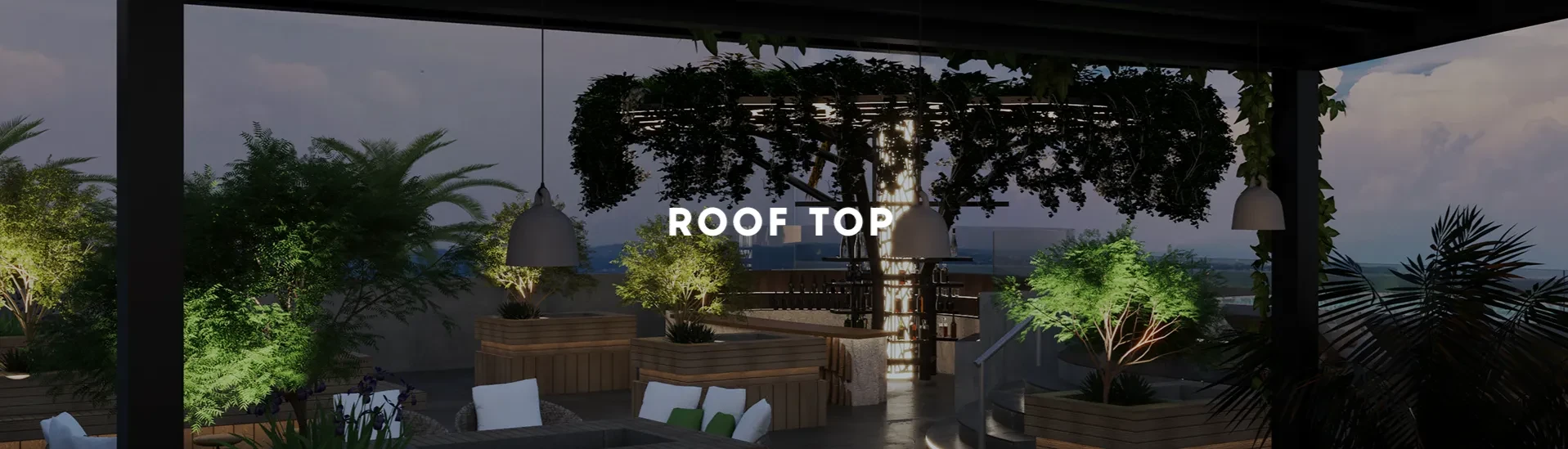 Roof Top